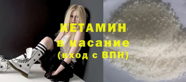 индика Михайловск