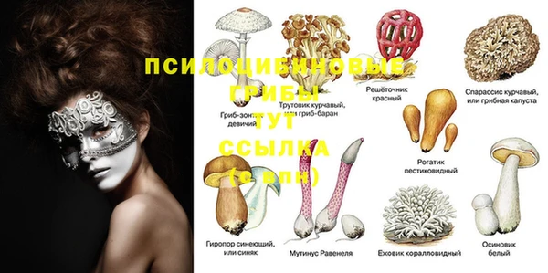 не бодяженный Волоколамск