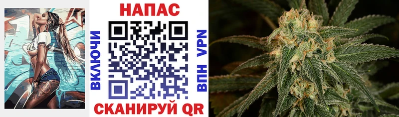 Купить  Болохово  Канабис ГИДРОПОН 